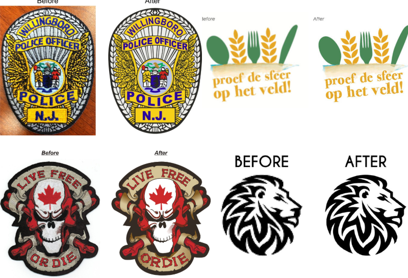 Vector art conversion example by Dynamic Digitizers